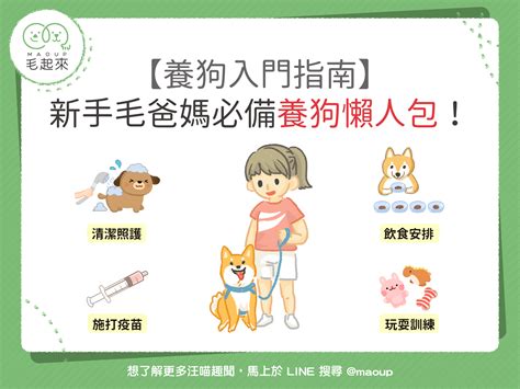 養狗注意事項|新手飼養狗狗11點建議 – 寵物百科